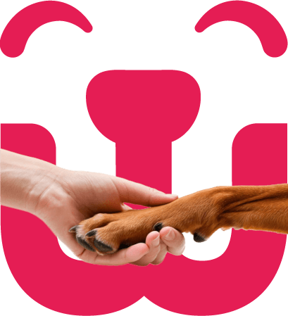 mano_logo