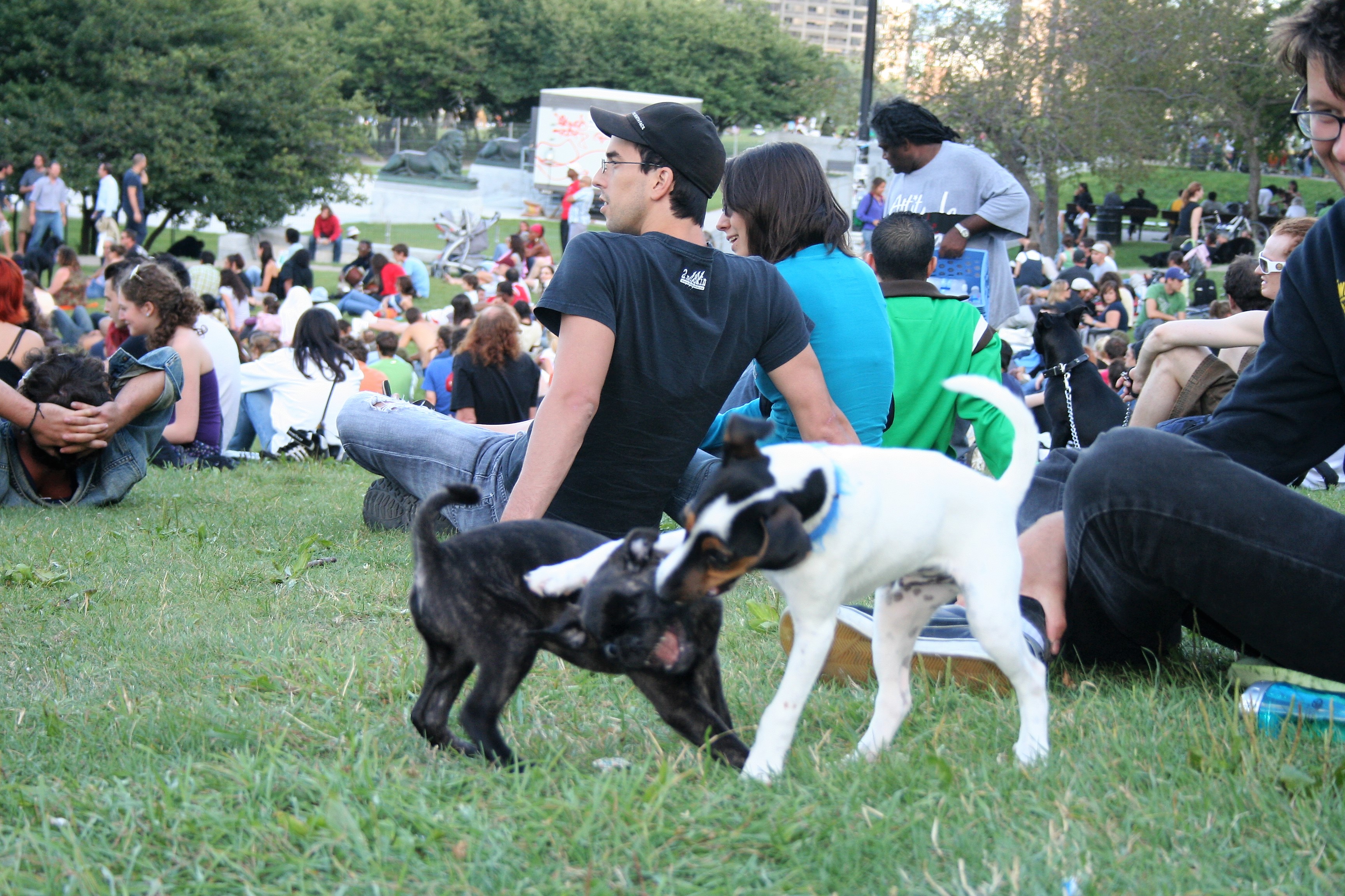 Dog Friendly Events