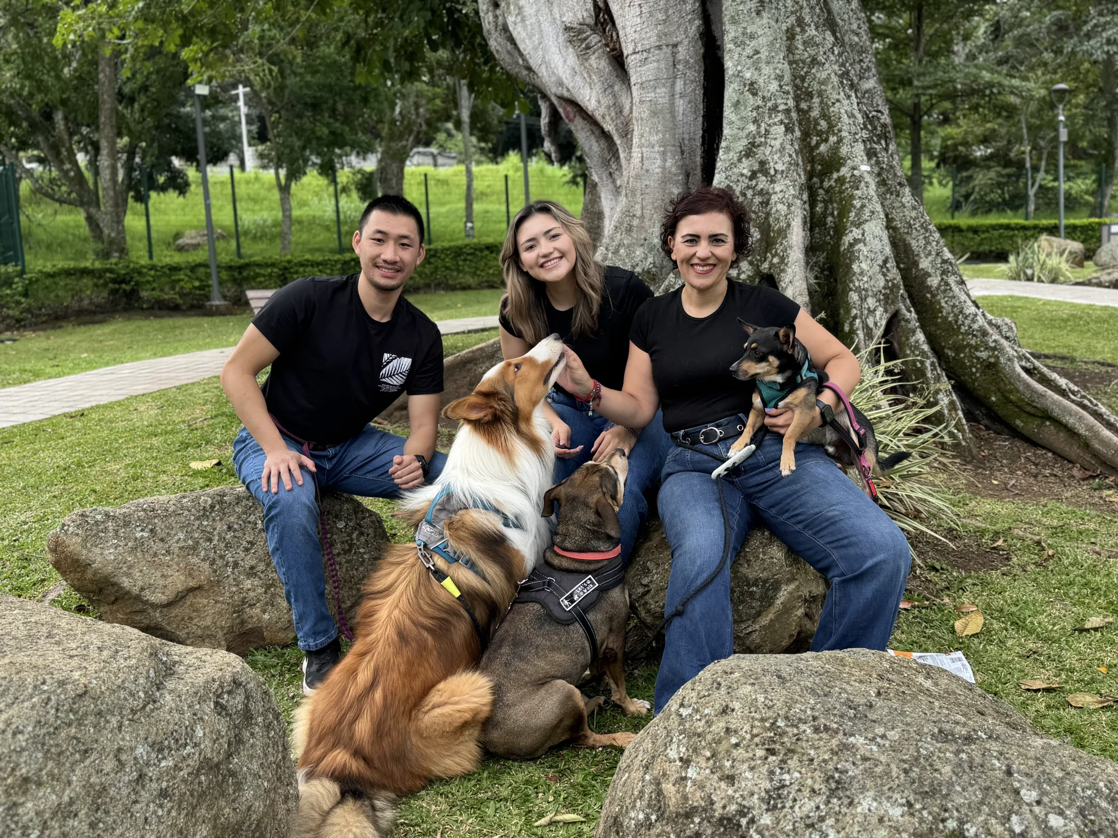 Tania Hernández, María José Jiménez y Wilson Gong Wu sentados con sus perros bajo un árbol